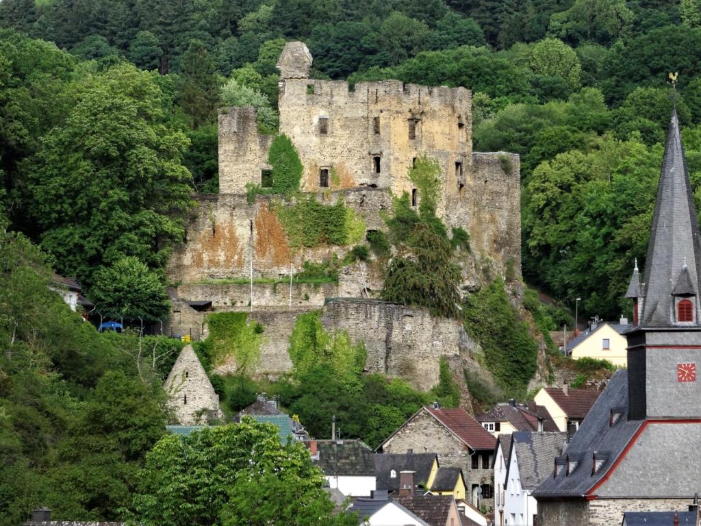 Balduinstein: Burgruine (2020)