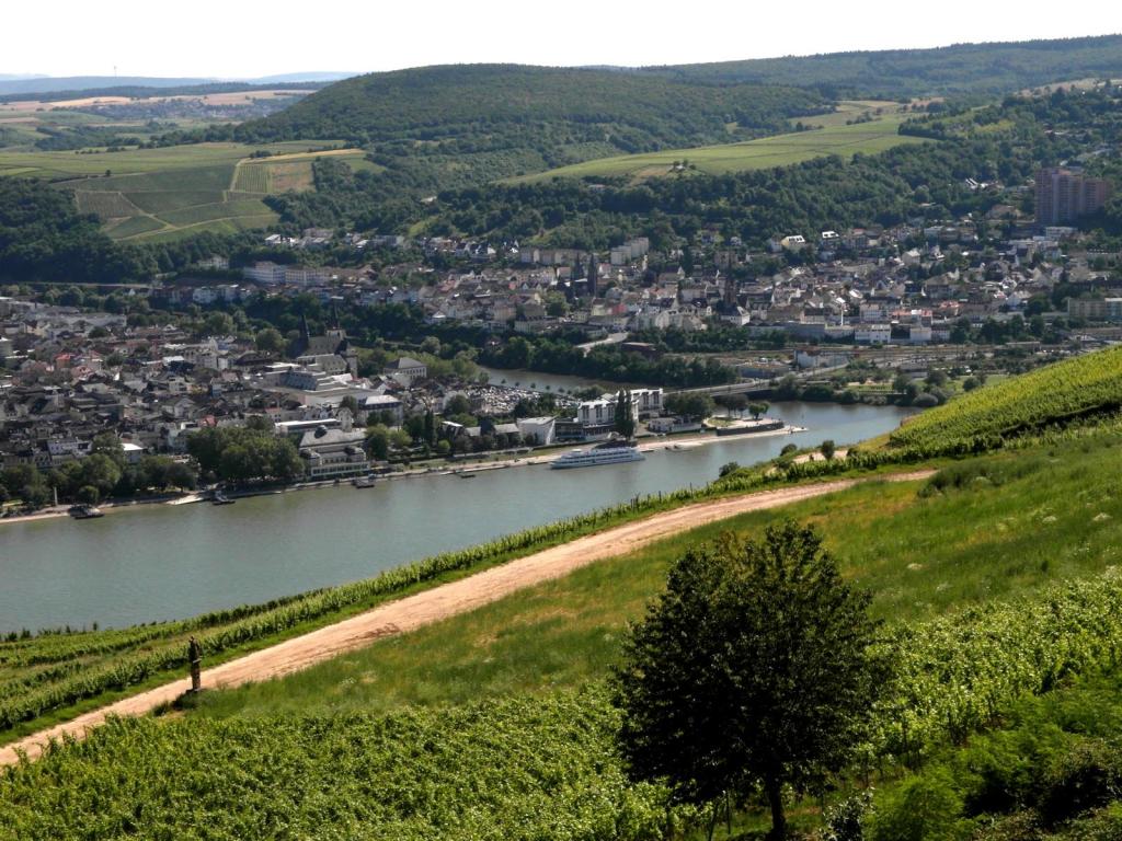 Bingen [Blick vom Niederwalddenkmal] (2016)