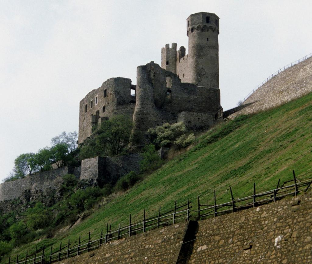 Ruine Ehrenfels (2016)