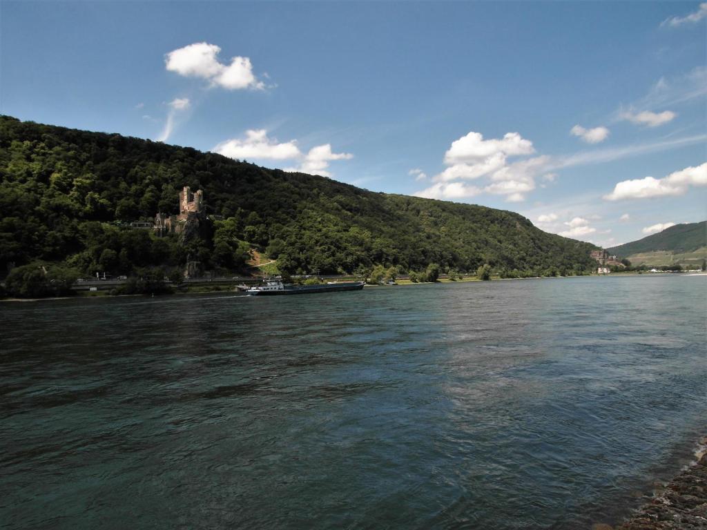 Burgen Rheinstein und Reichenstein (2020)