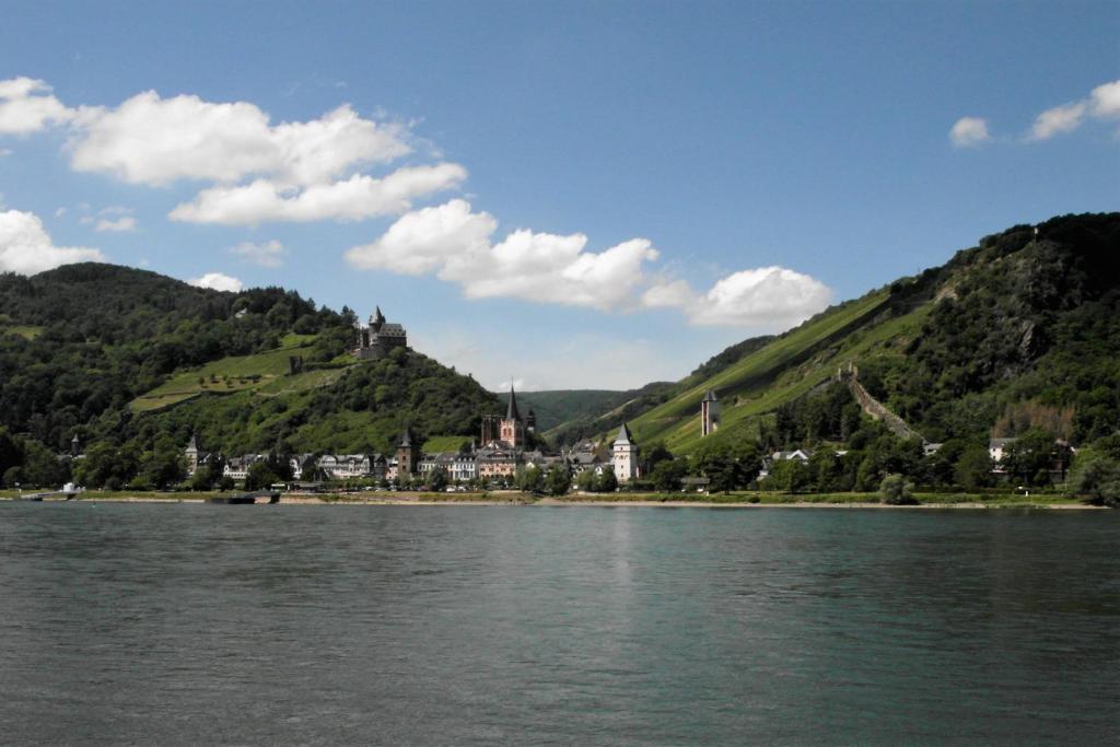 Blick auf Bacharach (2020)