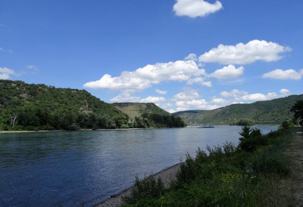 Blick rheinabwärts nach Kaub (2020)