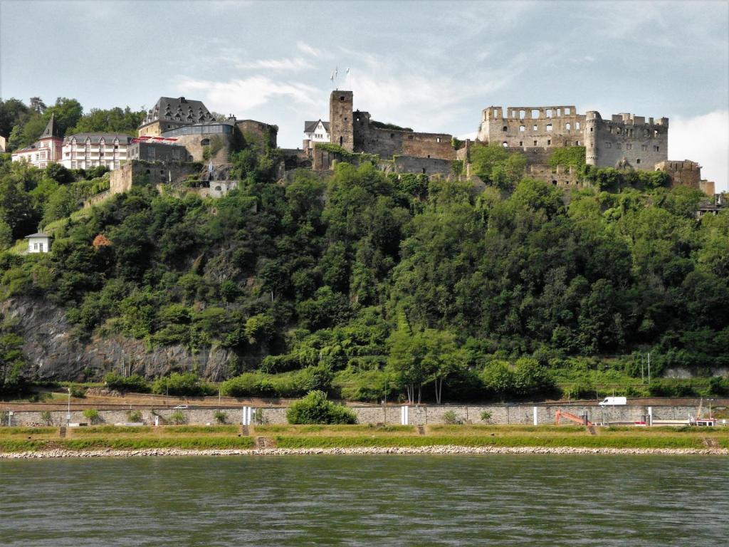 Burg Rheinfels (2020)