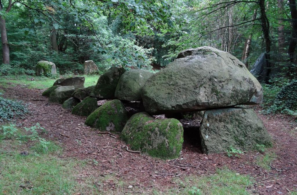 Flögeln bei Bad Bederkesa: Großsteingrab (2017)