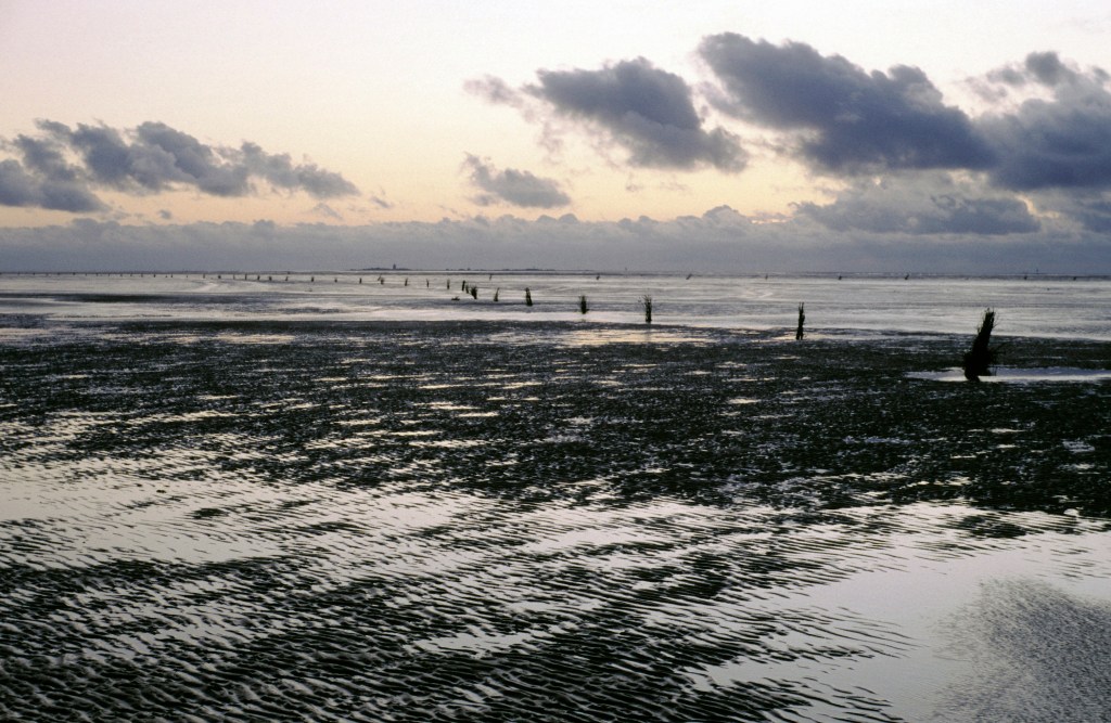 Cuxhaven-Duhnen: Blick über das Watt zur Insel Neuwerk (1987)
