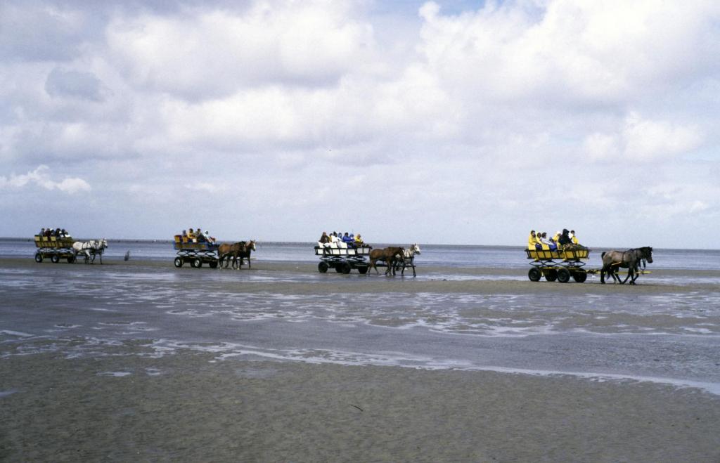Cuxhaven-Duhnen: Wattwagen nach Neuwerk (1987)