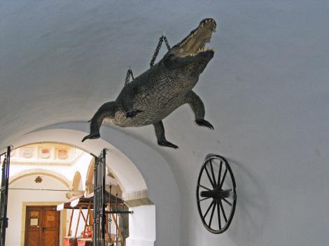 Brünn [tschech. Brno]: Altes Rathaus - Turmdurchgang mit Krokodil und Rad (2008)