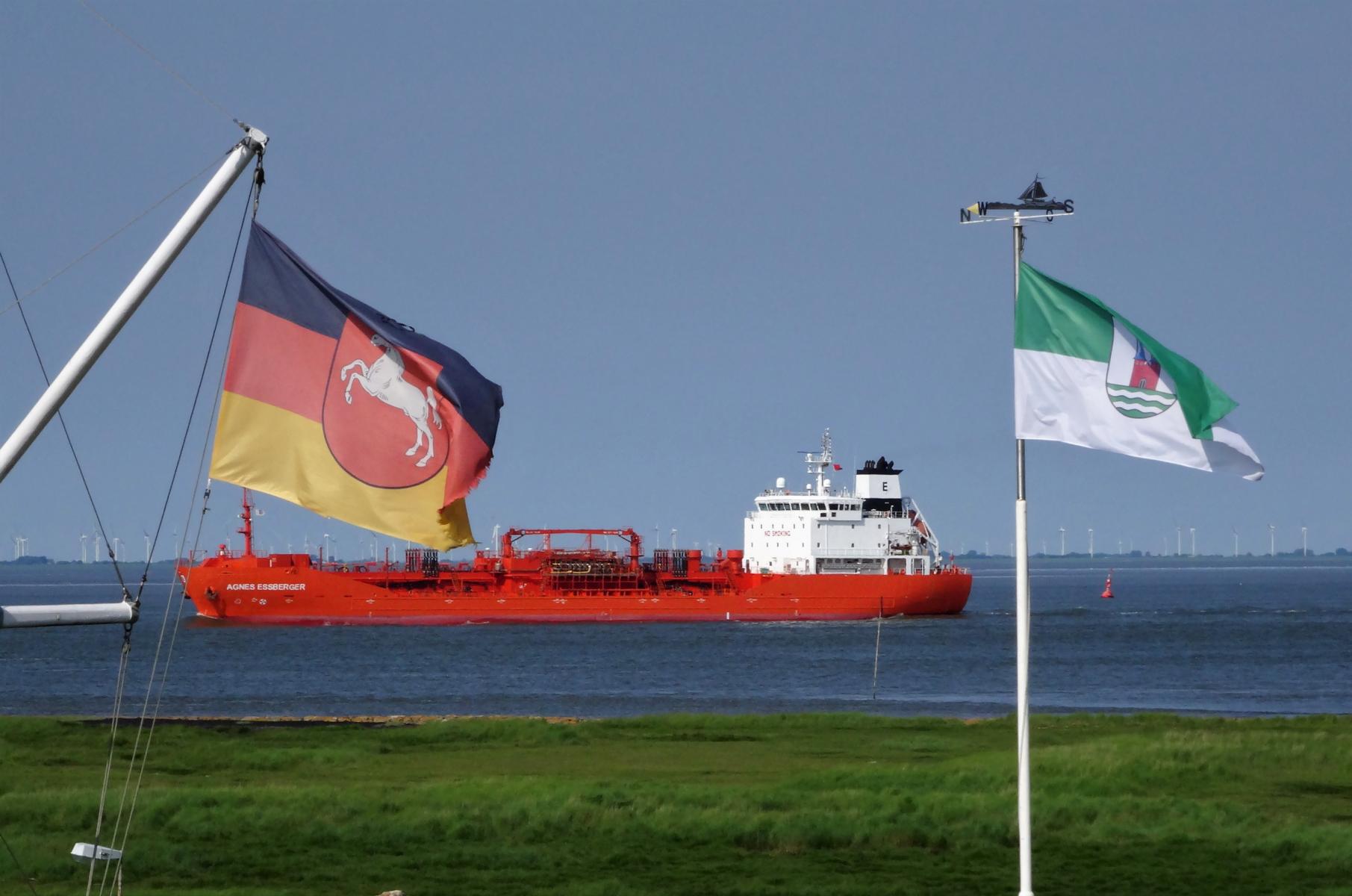 Altenbruch: Blick auf die Elbe (2021)