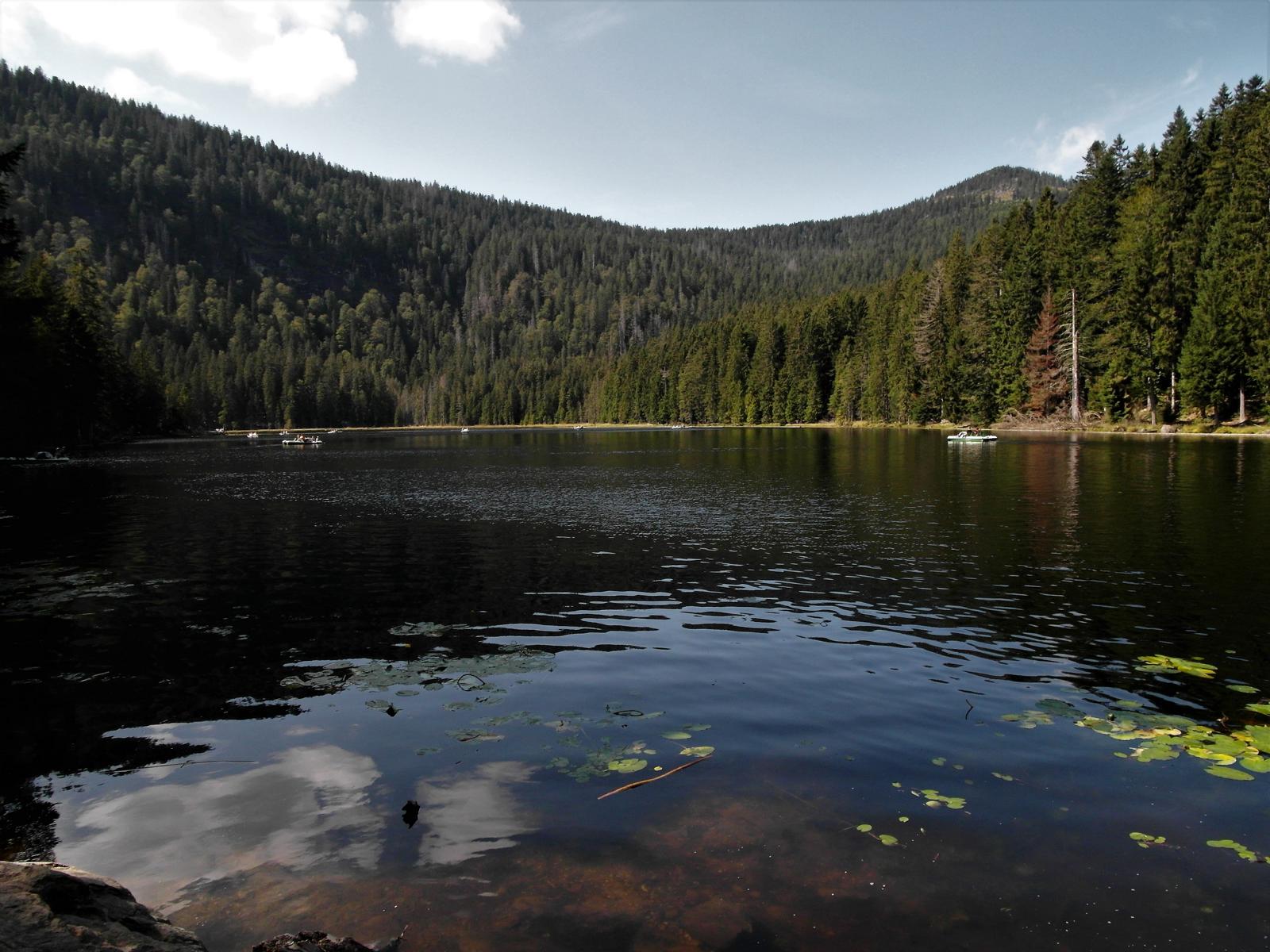 Großer Arber-See (2020)