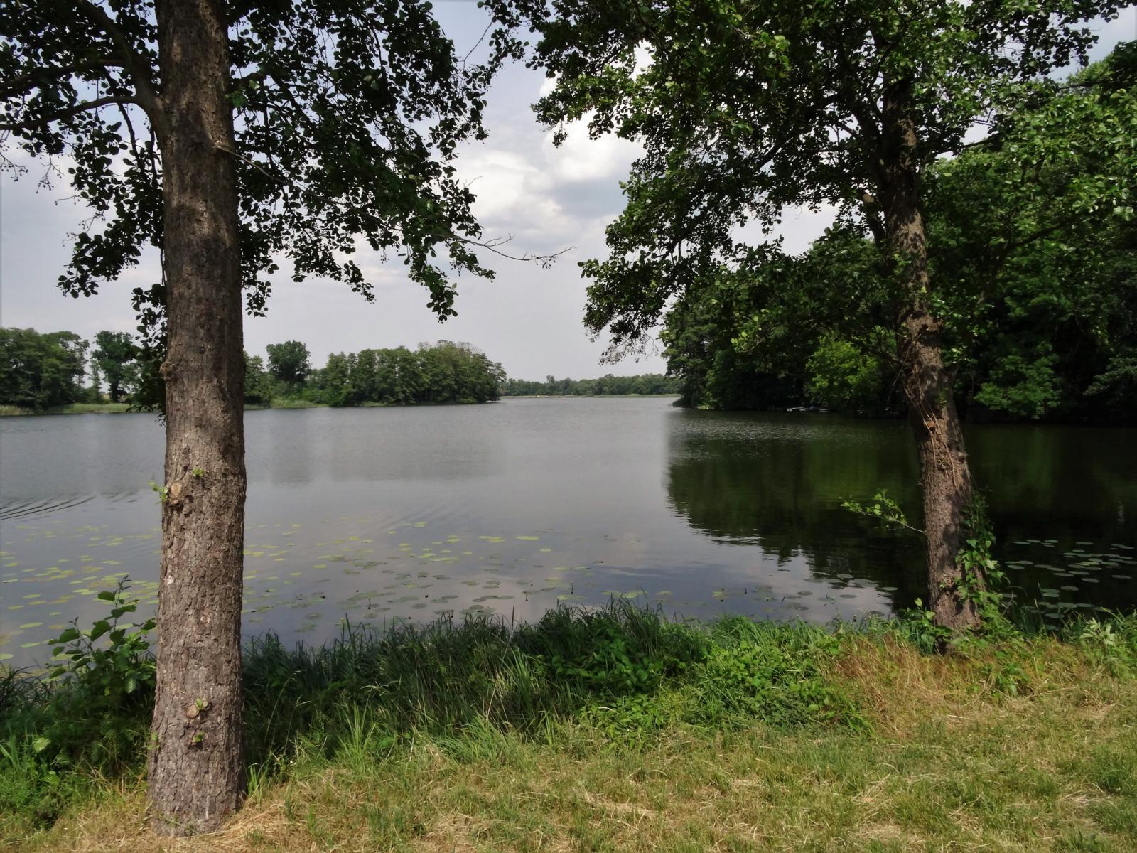 Hohenjesarscher See (2021)