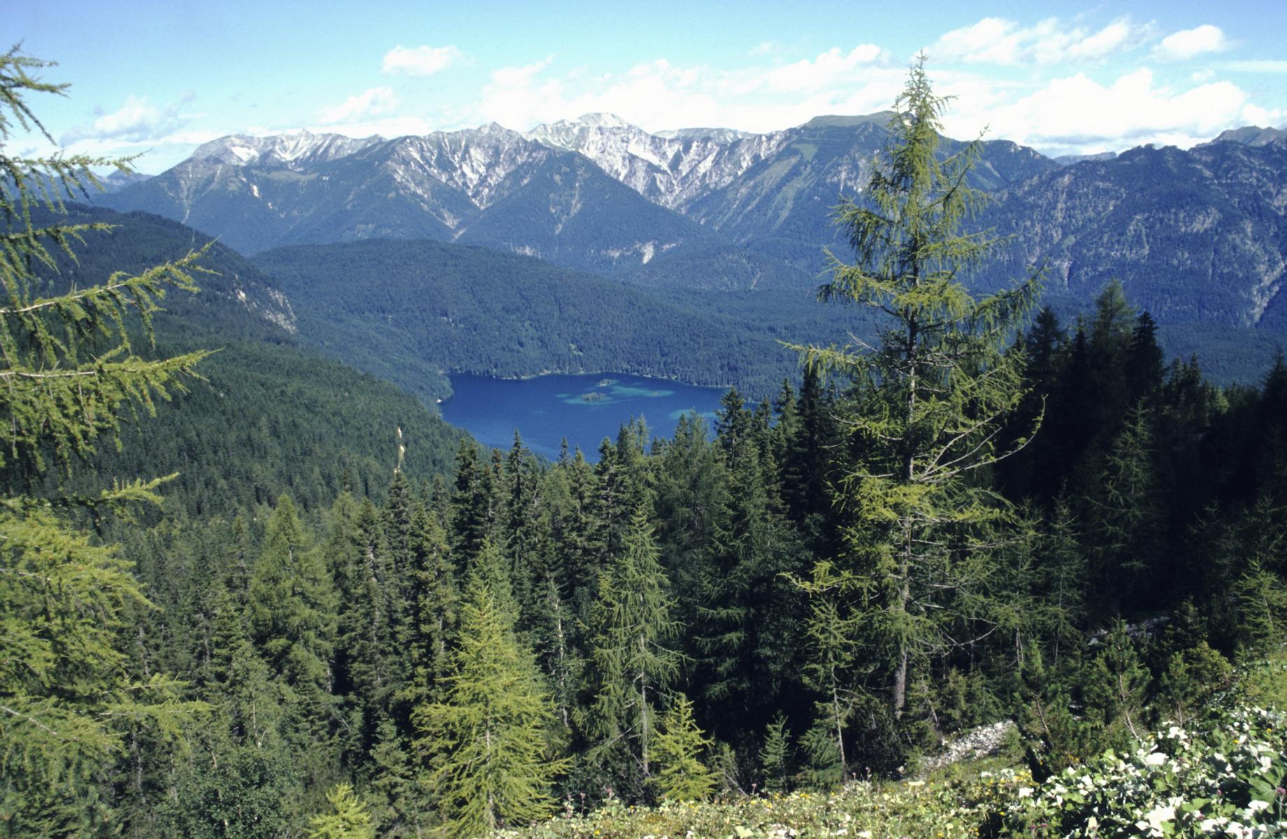Blick zum Eibsee, dahinter Ammergebirge (2000)