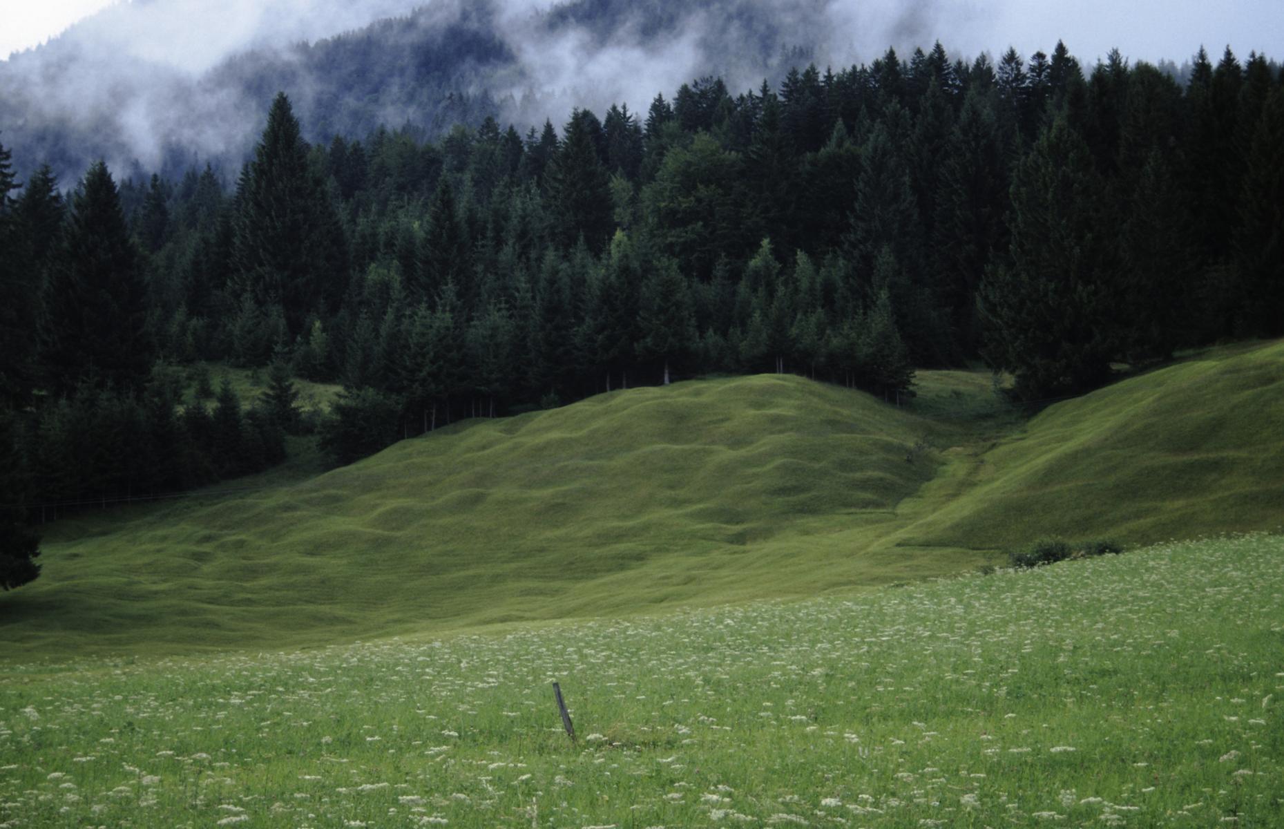Buckelwiesen zwischen Garmisch und Krün (2000)