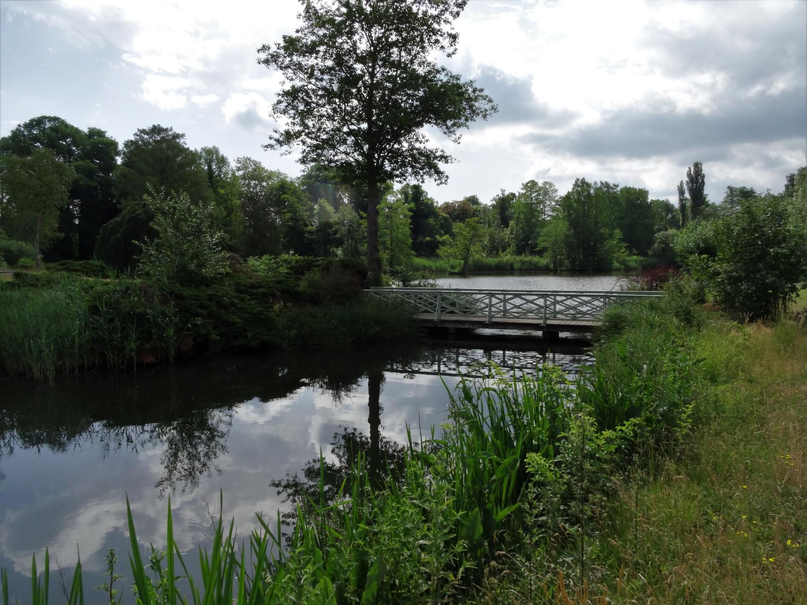 Potsdam: Park Sanssouci bei den Römischen Bädern (2021)