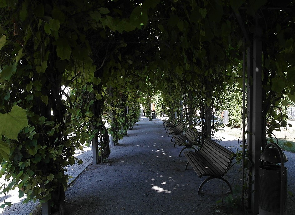 Weimar: Frauenplan (2020)