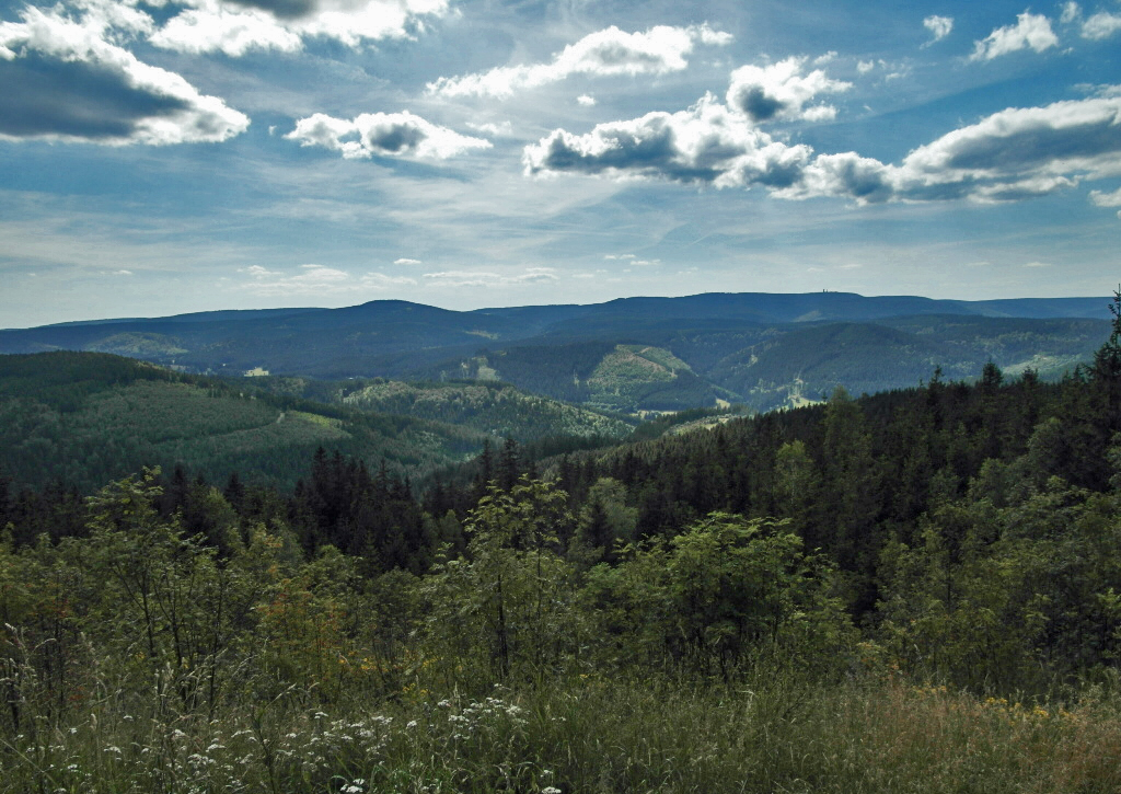 Blick vom Kickelhahn nach Süden (2020)