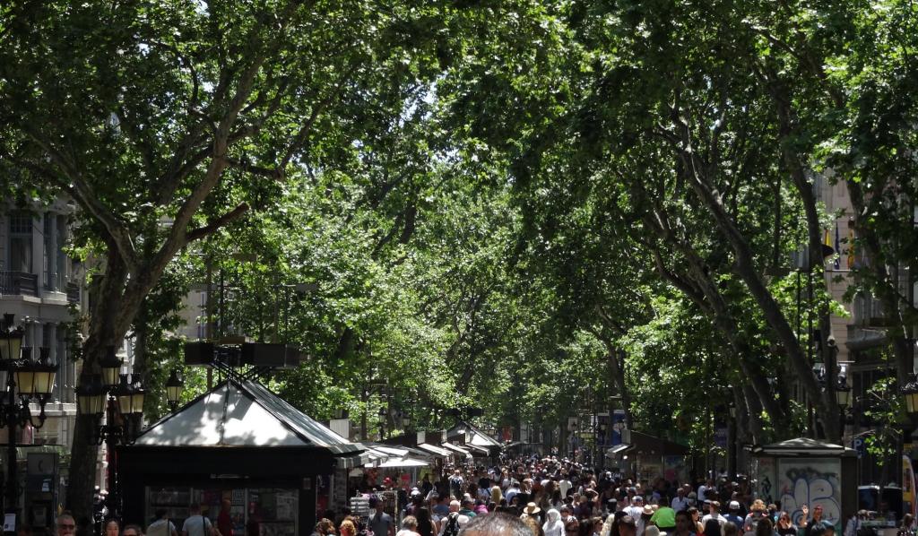 Barcelona: Rambla (2022)