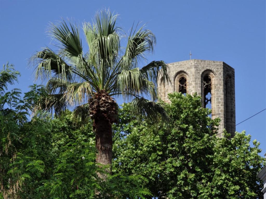 Barcelona: Kloster Pedralbes - Kirchturm (2022)