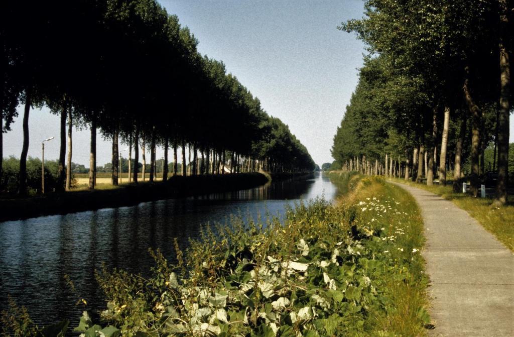 Kanal zwischen Brügge und Damme (2003)