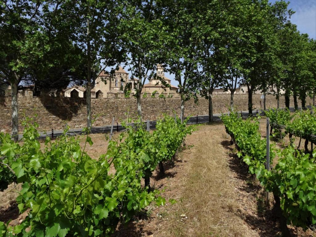 Blick zum Kloster Poblet (2022)