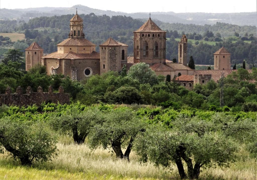 Kloster Poblet (2022)