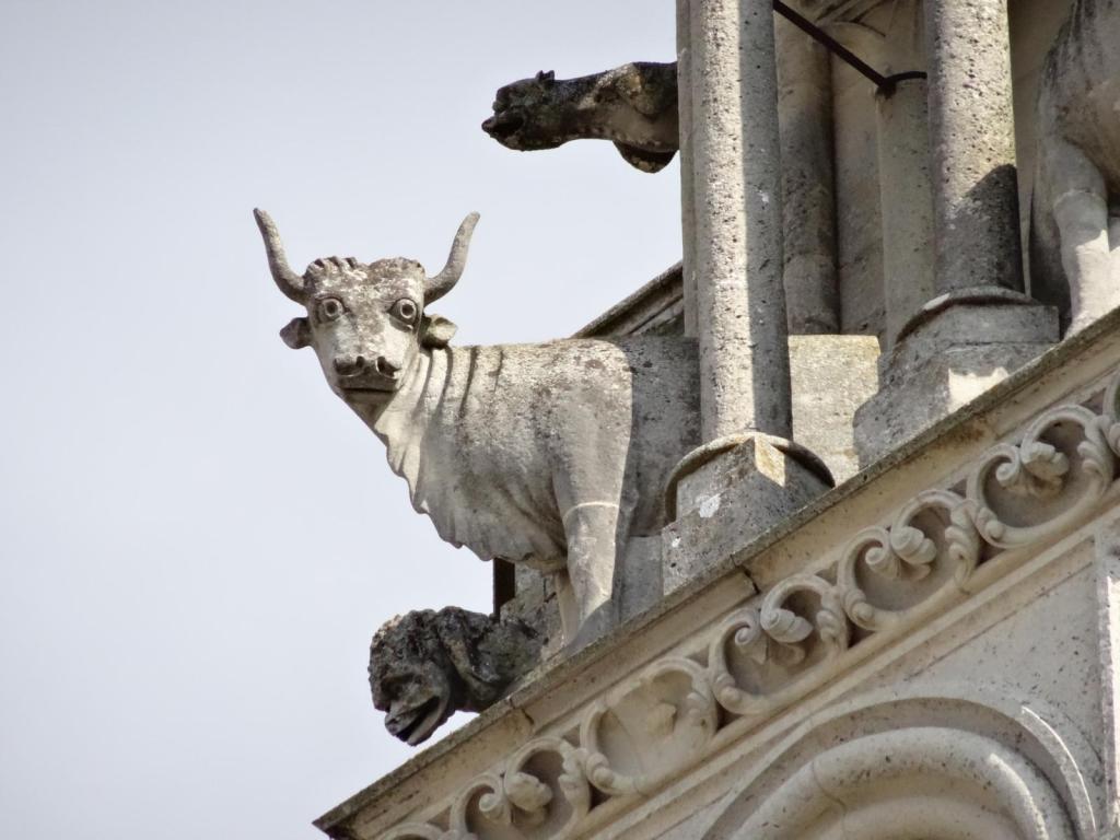 Laon: Kathedrale Ochsenfigur am Westturm (2022)