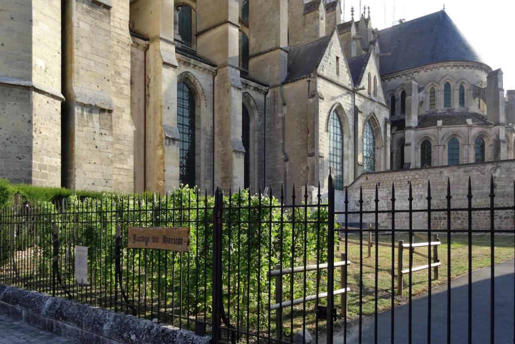 Soissons: Kathedrale Südseite - Bohnengarten [Jardin du Haricot] und Südquerhaus (2022)