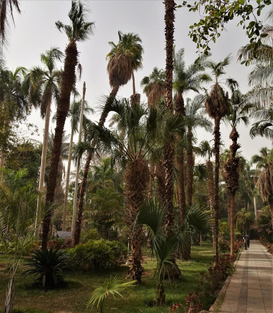 Assuan: Kitchener-Insel (2023)