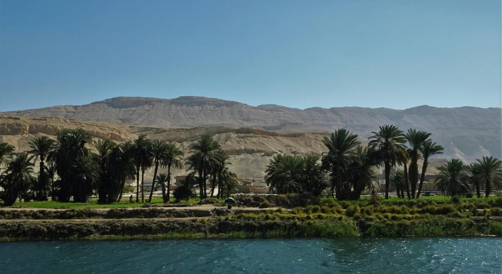 Bewässerungskanal zwischen Luxor und Edfu (2023)