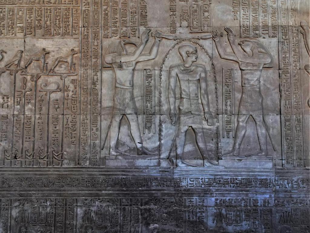 Kom Ombo: Doppeltempel - Relief [Reinigung des Königs durch Horus und Thot] in der äußeren Säulenhalle (2023)