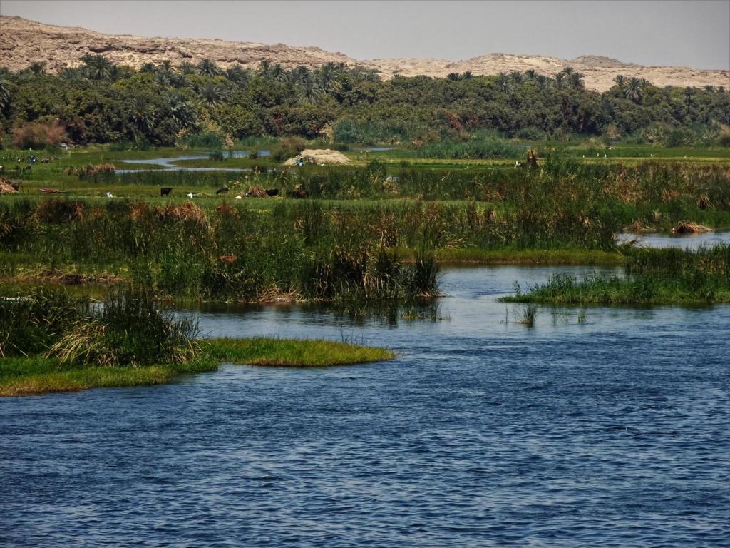 Nillandschaft (2023)