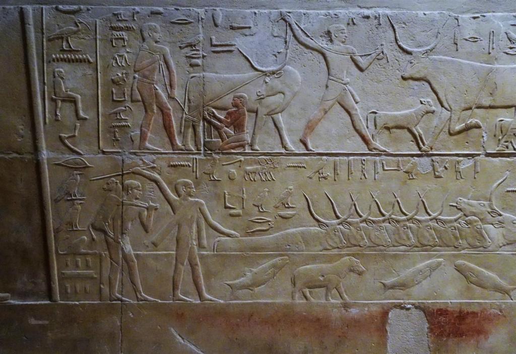 Sakkara: Mastaba des Kagemni - Dreipfeilerhalle (2023)