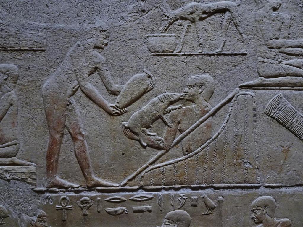 Sakkara: Mastaba des Kagemni - Dreipfeilerhalle (2023)