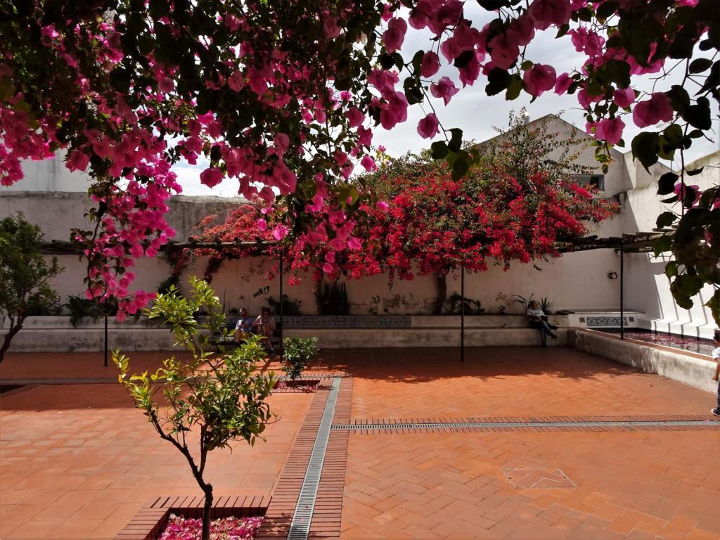 Lissabon: Vinzenzkloster vor den Mauern [S. Vicente de Fora] (2023)