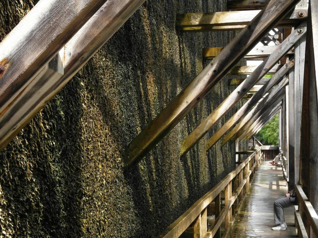 Bad Kissingen-Hausen: Untere Saline (2014)