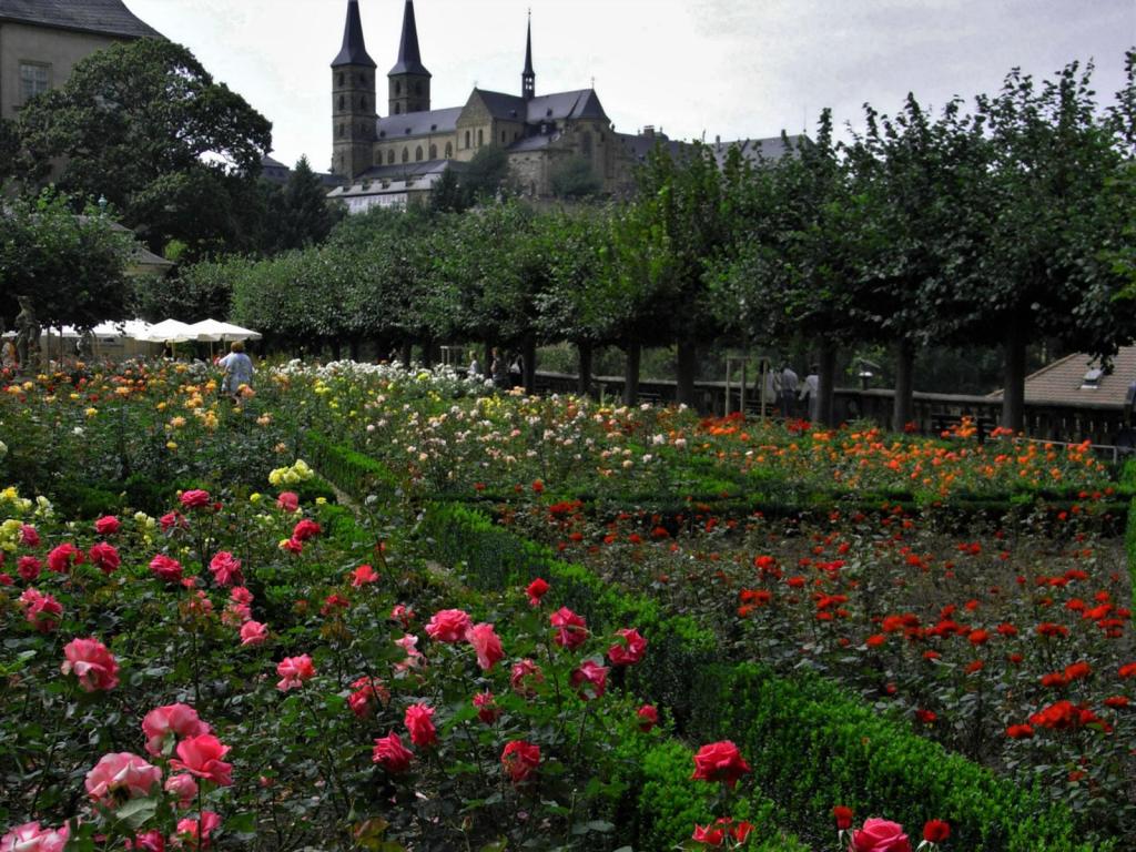Bamberg: Rosengarten der Neuen Residenz, hinten Michaelskirche (2007)