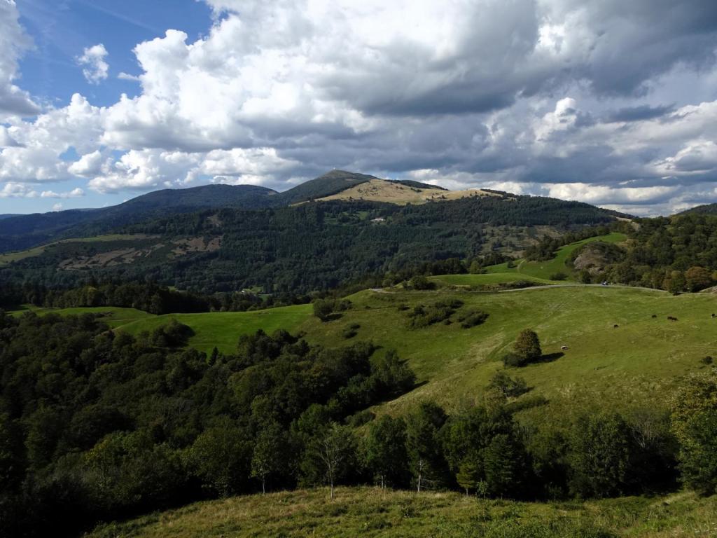 Blick zum Großen Belchen (2023)