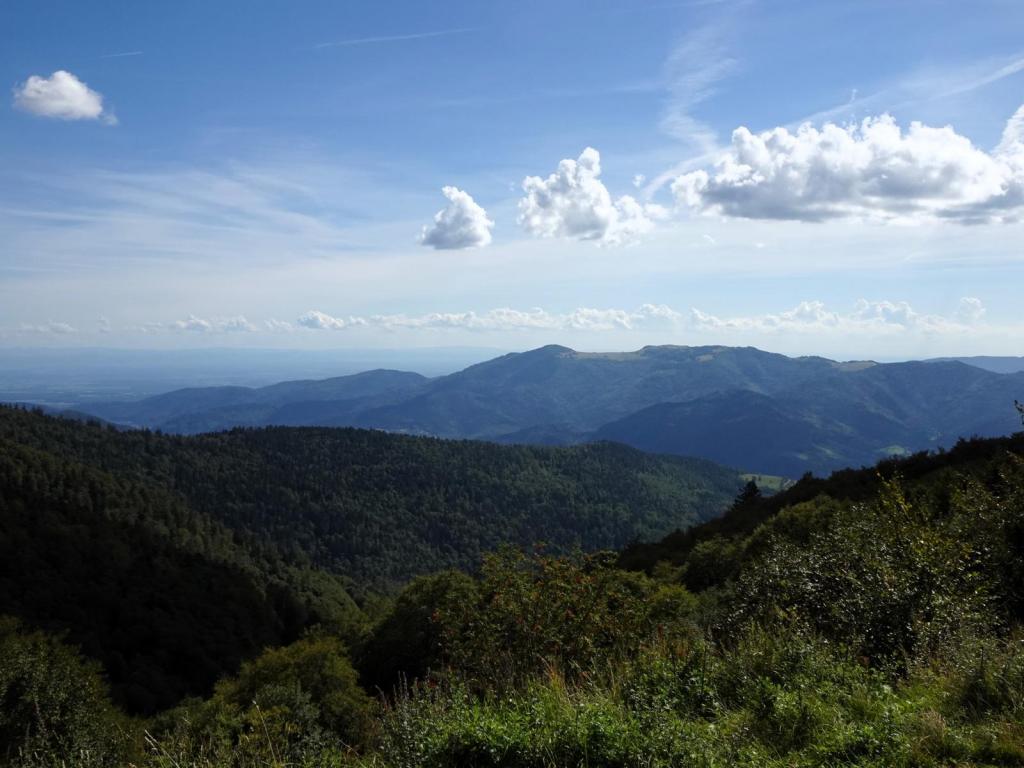 Blick vom Großen Belchen nach Nordwesten (2023)