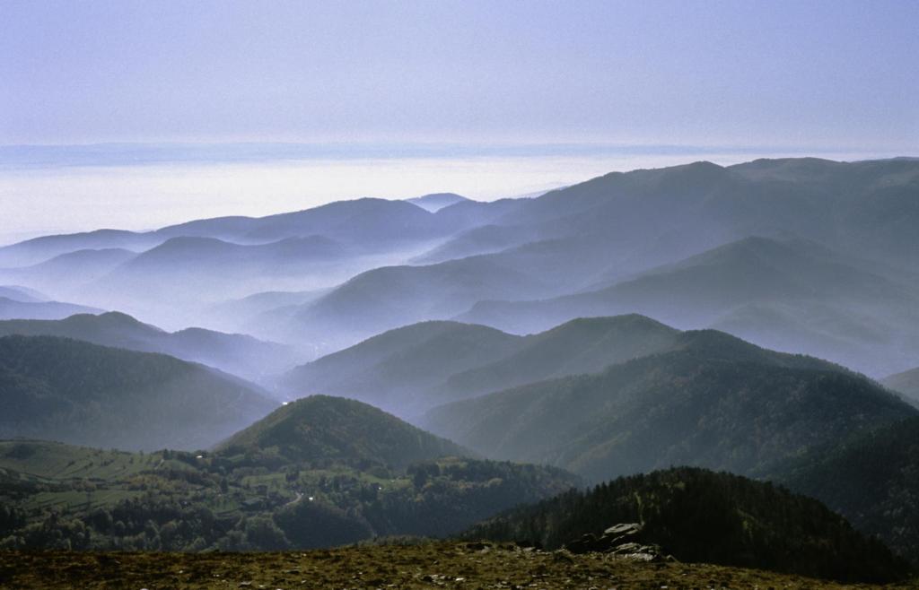 Blick vom Großen Belchen nach Süden (Nov. 1984)