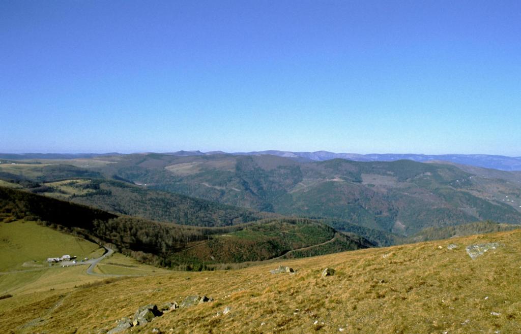Blick vom Großen Belchen nach Westen (Nov. 1984)