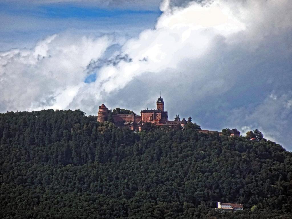 Hohkönigsburg (2023)