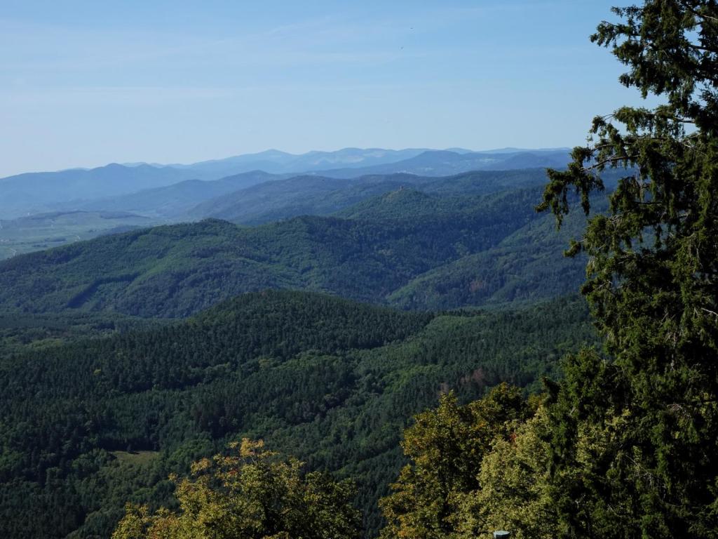 Hohkönigsburg: Blick vom Großen Bollwerk (2023)