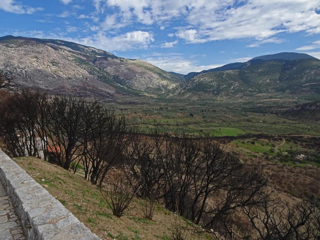 Landschaft beim Kloster Hosios Lukas (2023)
