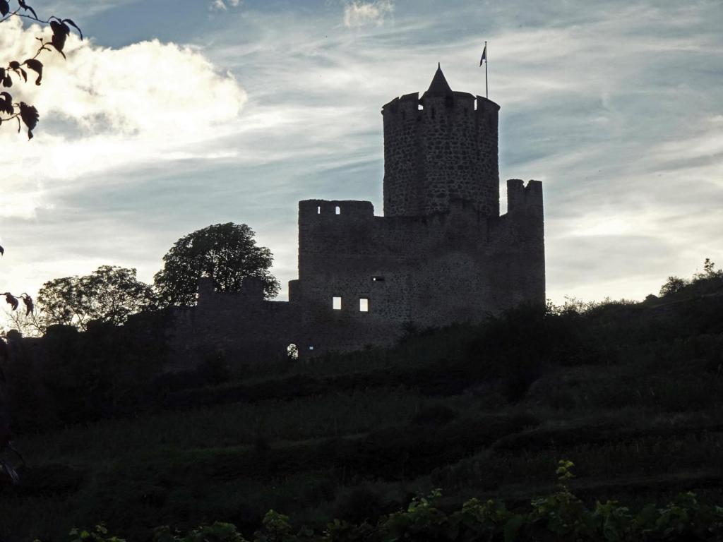 Kaysersberg: Burg (2023)