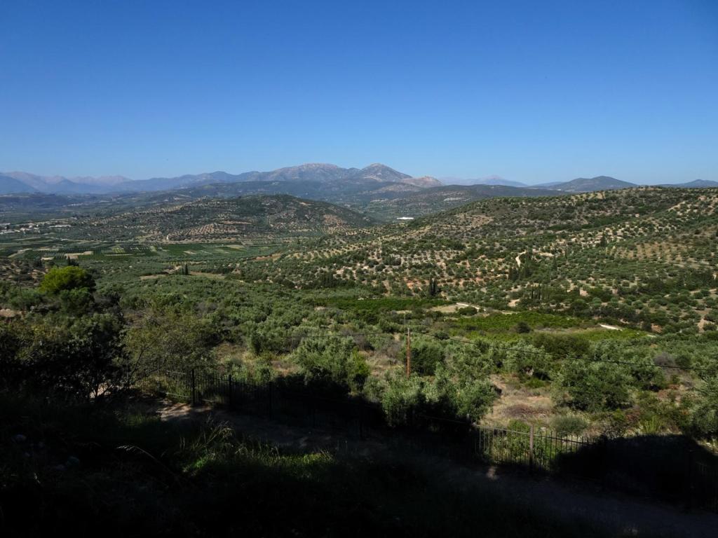 Mykene: Akropolis Blick vom Palast (2023)