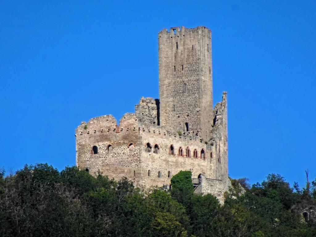 Burg Ortenberg (2023)