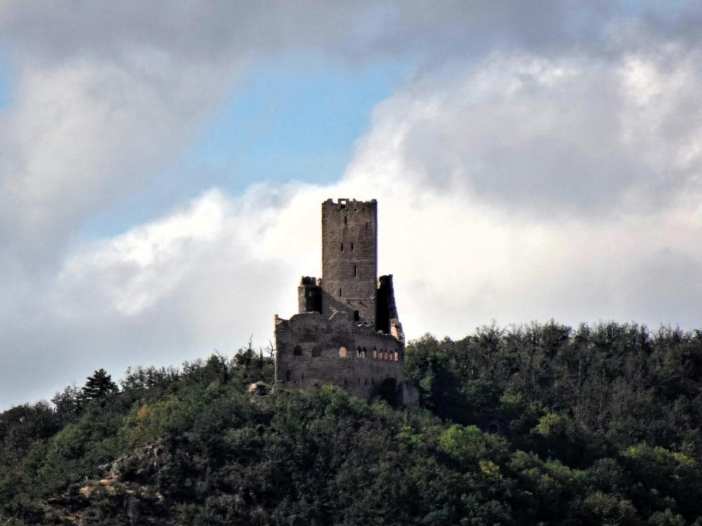 Burg Ortenberg (2023)