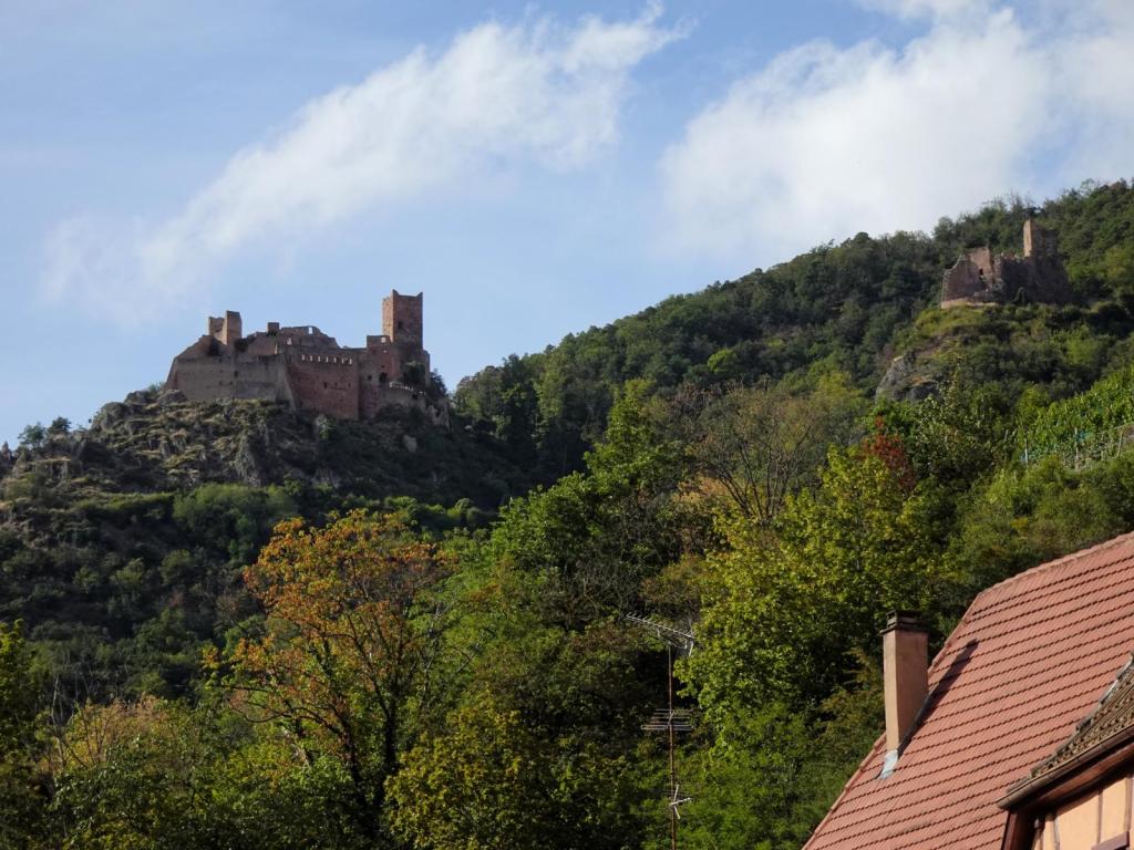 Rappoltsweiler: Ulrichsburg und Burg Girsberg (2023)