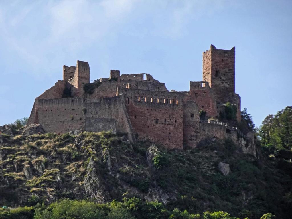 Rappoltsweiler: Ulrichsburg (2023)