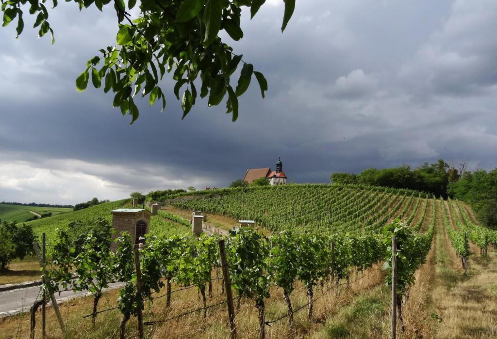 Volkach: Wallfahrtskirche Maria im Weingarten (2022)