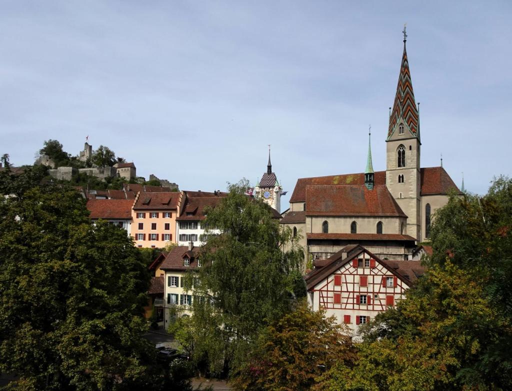 Baden: Ruine Stein und Mariä Himmelfahrtskirche (2023)